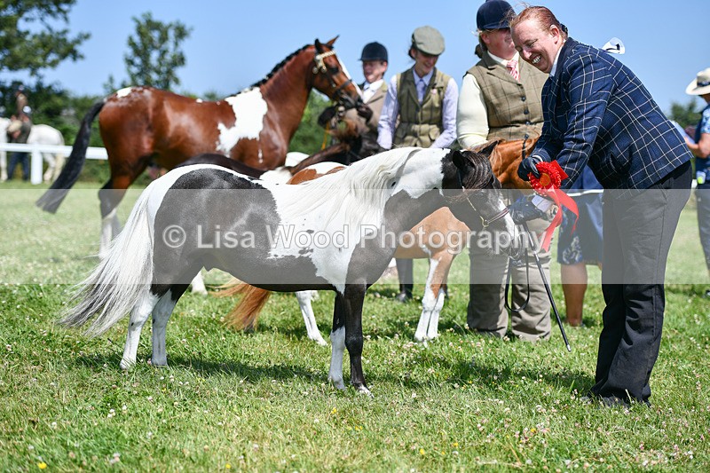 DSC_7425 - Class 62: Coloured Pony Youngstock