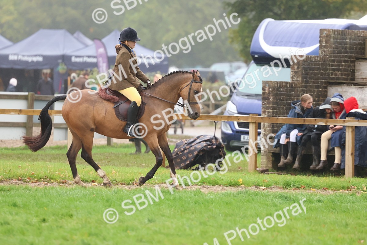 SBM_73035 - S63 Show Pony & Show Hunter Pony Ridden