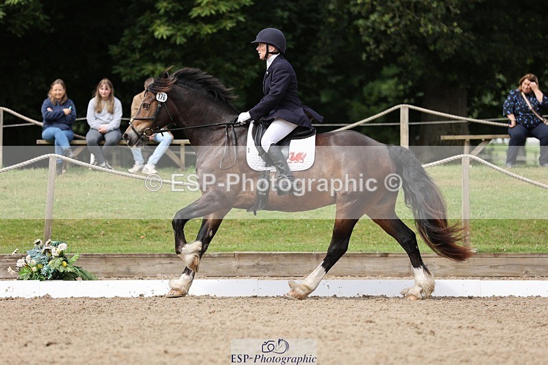 240721-115627-08481 - 176-Amanda_Williams-Llanarth_Westminster