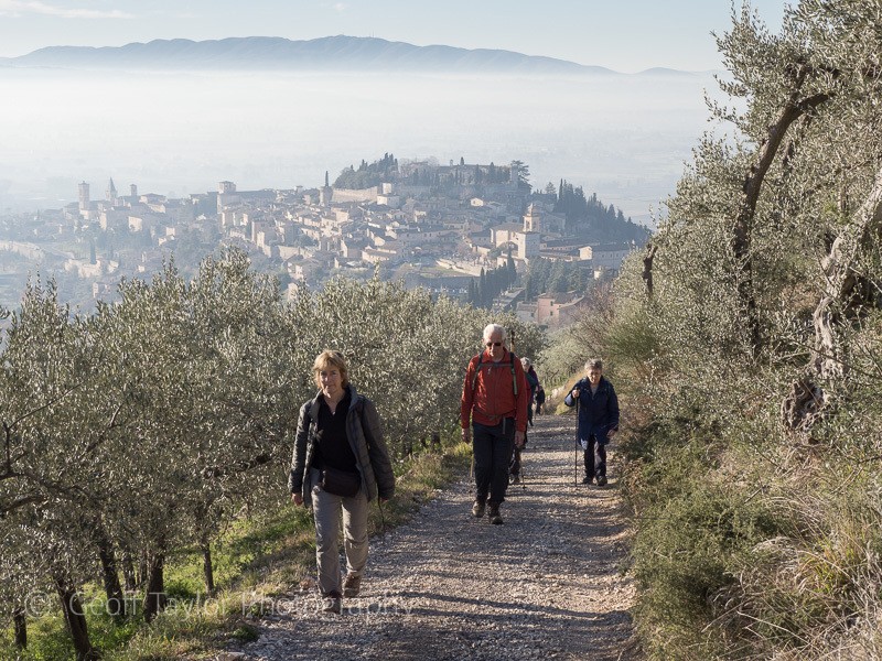 240430 Spello to Monte Subasio - Assisi Christmas