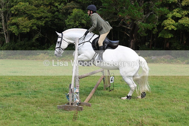 3E7A5971 - Class 28: 75cm Working Hunter