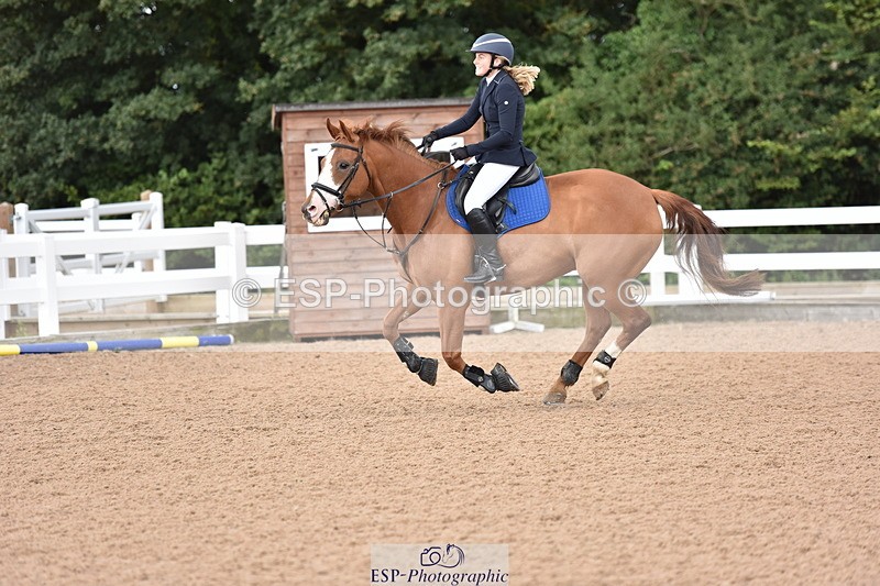 230806A-094152-01046 - Cls 16 Snr British Novice & 90cm Open