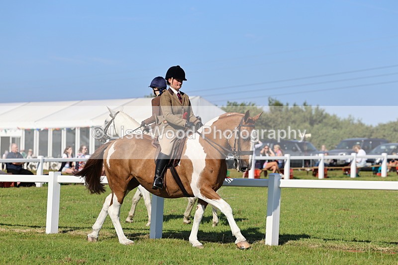 IMG_1458 - Class 29:  Ridden Native/Trad Coloured Horse
