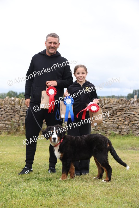 20250607-0444 - Class 11 - Purfect Pup