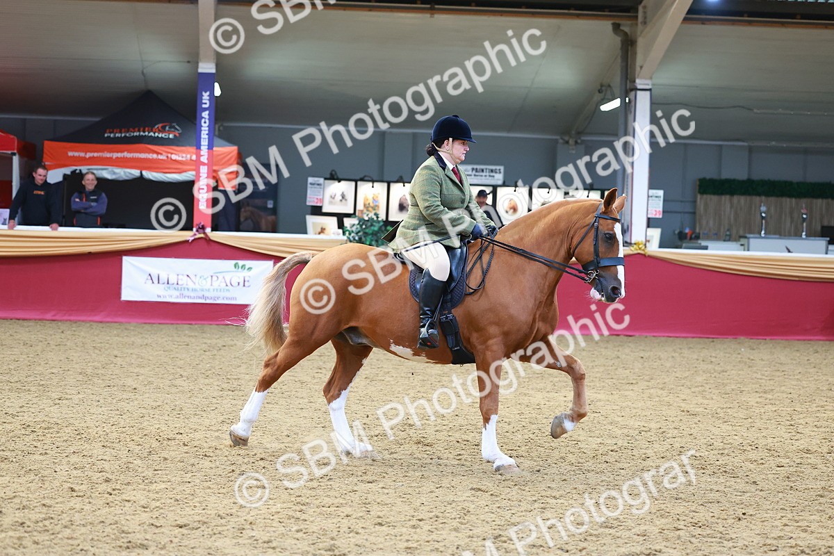 SBM_06111 - Class 12R - Ridden Pre-Vet