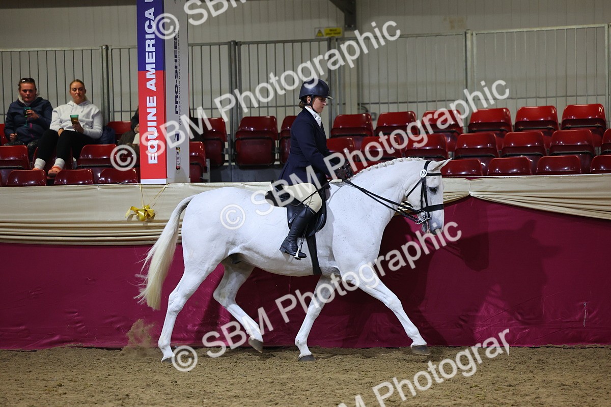 0B8A4445 - Class O Ridden Show Horse Champ