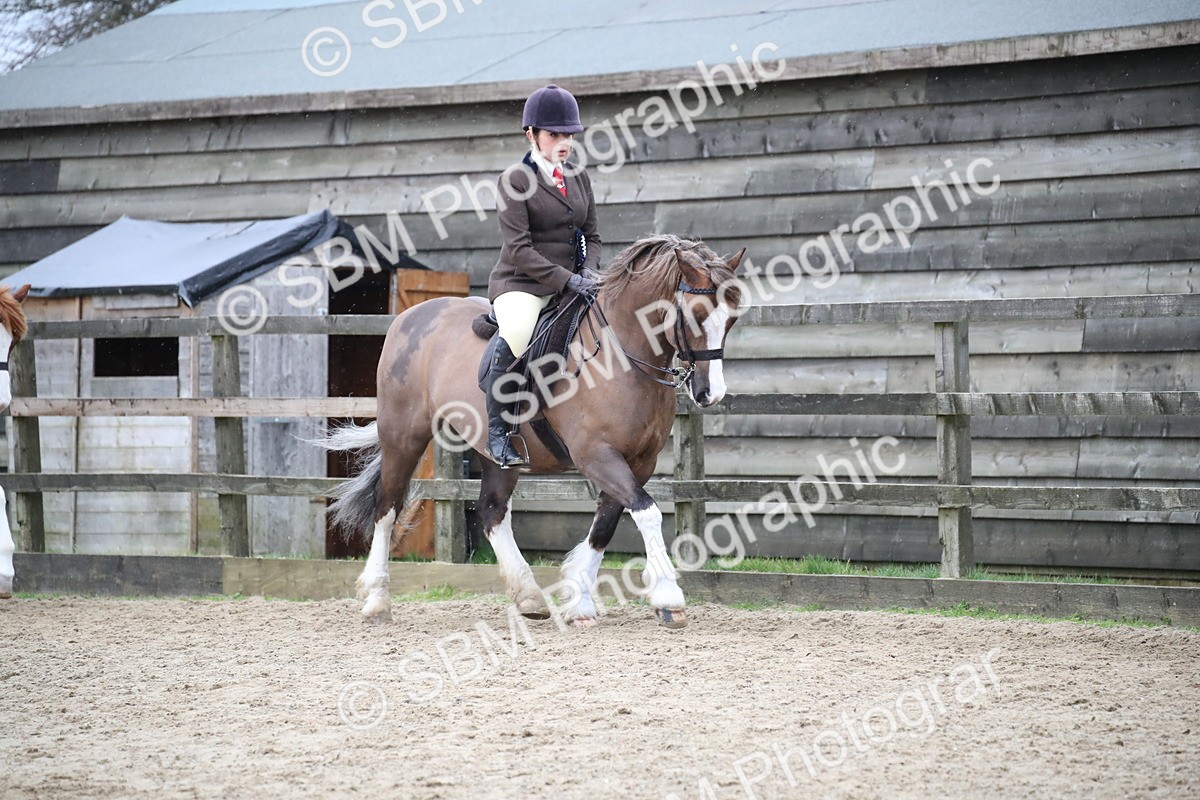 SBM_007332 - Class 10-13 - RIHS Small Large Breeds
