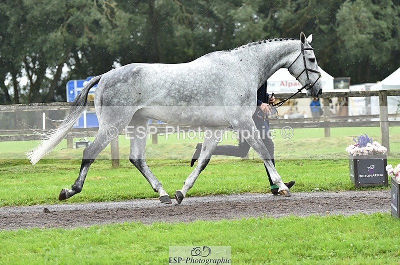 231018-124728-00523 - 064-AIR.MAIL-Daisy.Amin-TrotUp