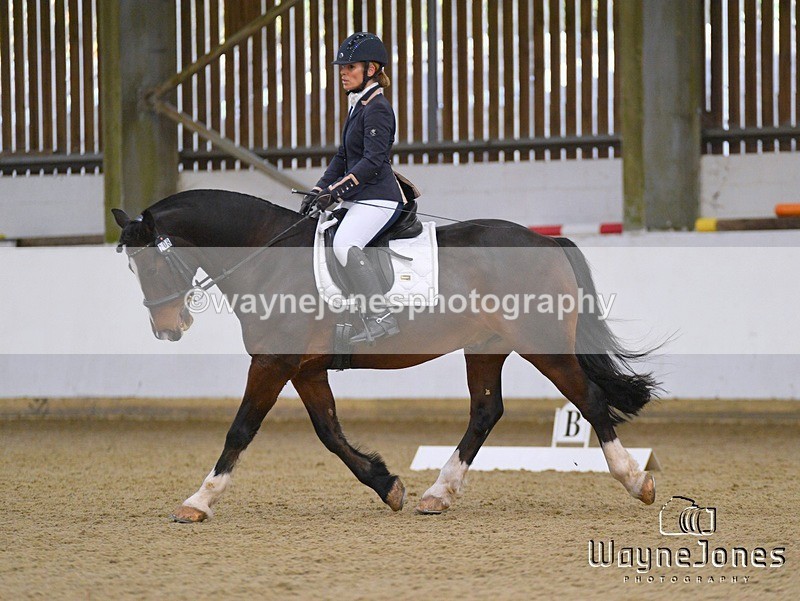 WJ5_7575 - Edited examples