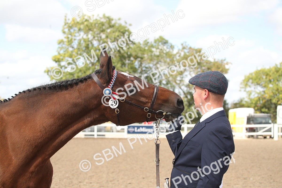 SBM_23462 - Class 604 - 2026 - Area IH Diamond