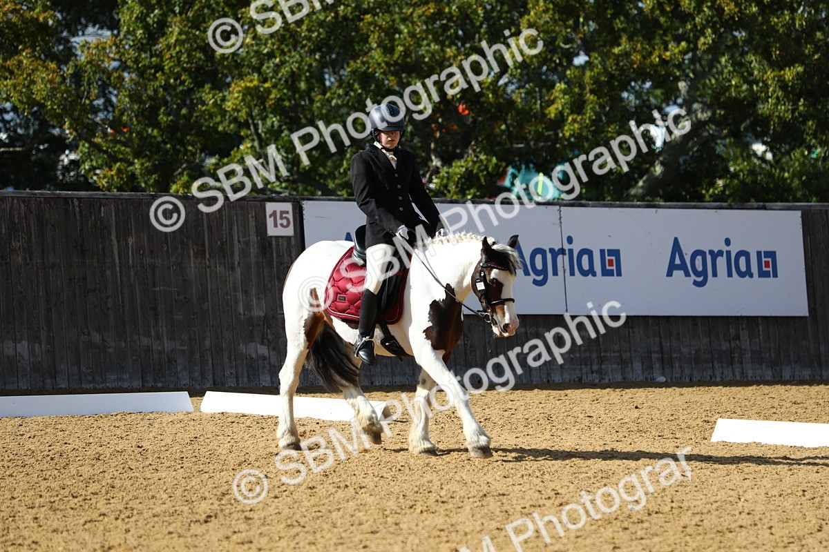 SBM_24492 - D5 - Small Tour Championshop Intro 2