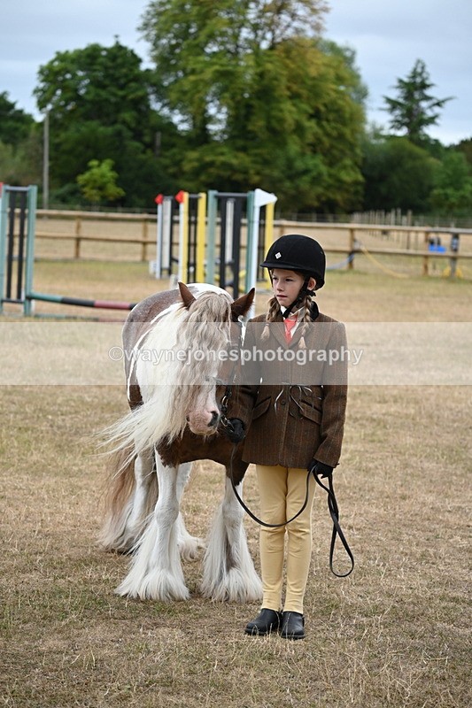 WJ6_8230 - Class 10 Coloured in Hand