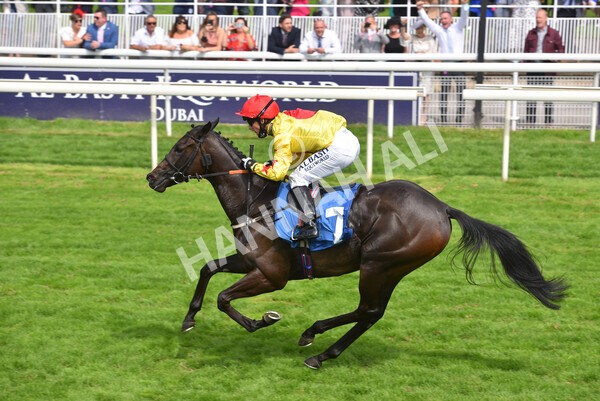 yr10072021r4-20 - Race 4: 3.30pm John Smith's Nursery Stakes