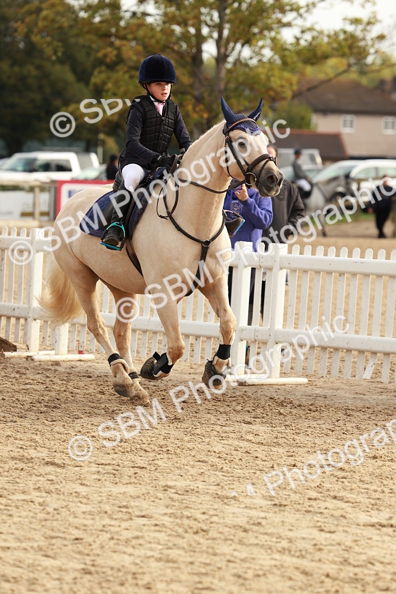 SBM_55722 - J11 - Junior Pony 50cm Championship