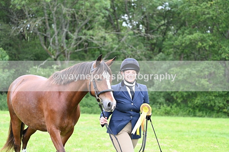 WJ7_4594 - Class 14B Prettiest Mare