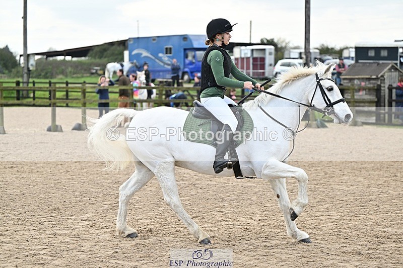 241110-124042-00732 - 50-55cm Arena Eventing