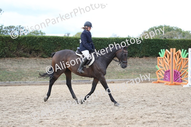 20260831-2599 - Class 15 - Ridden Retraining of Racehorses
