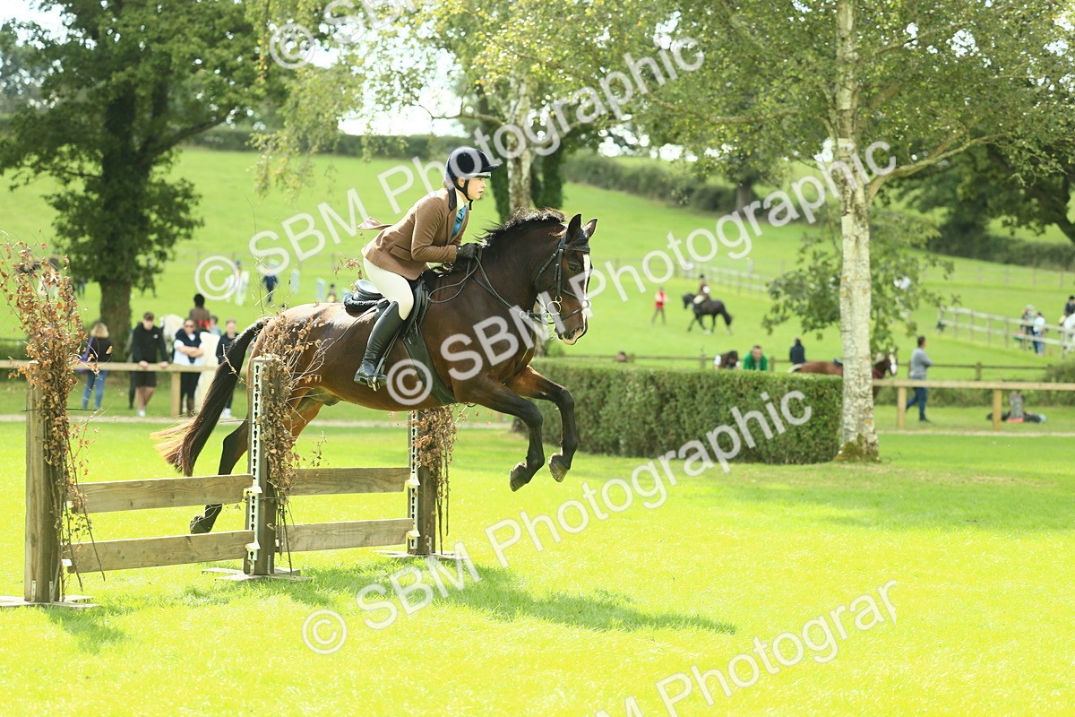 SBM_43005 - S30 - M&M Working hunter Pony