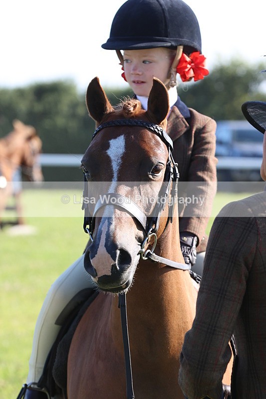 JPP_0768 - Class 16: Cornish Combination Leading Rein