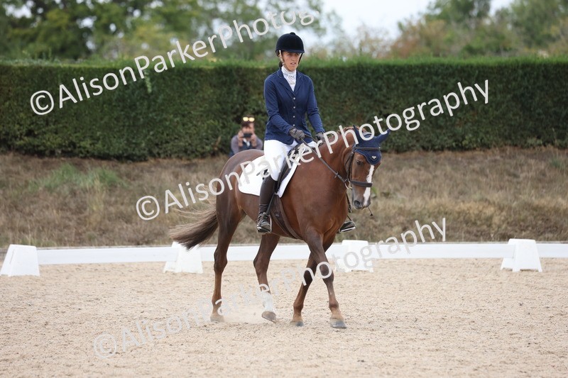 20250820-1108 - Class 17 - Elementary 4