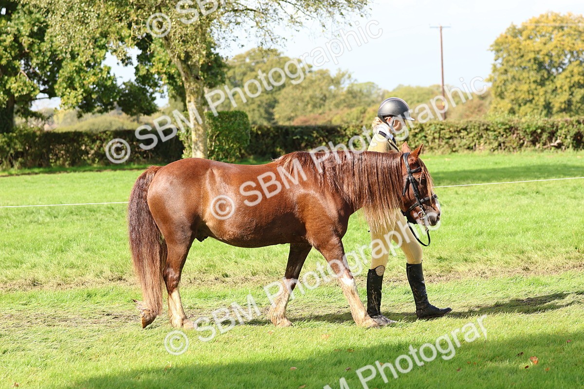 SBM_39398 - S24 - Young Veteran In Hand