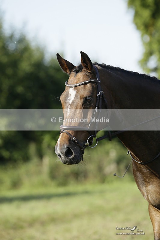 BVRC 120921 117 - Bourne Valley Riding Club UA Dressage & Show Jumping 12/09/21