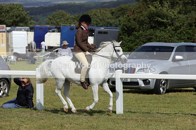 1X9A5680 - Class 40: NPS Welsh A & B