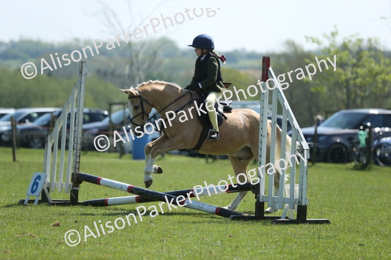 20250427-1957 - Class 2 - Mini Jumping 30cm