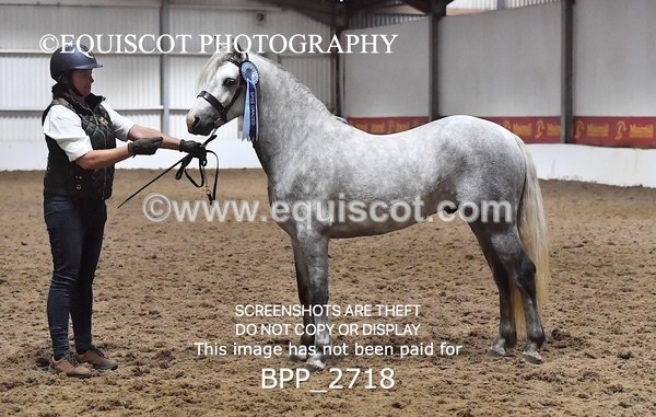 BPP_2718 - LOOSE JUMPING / SPSS