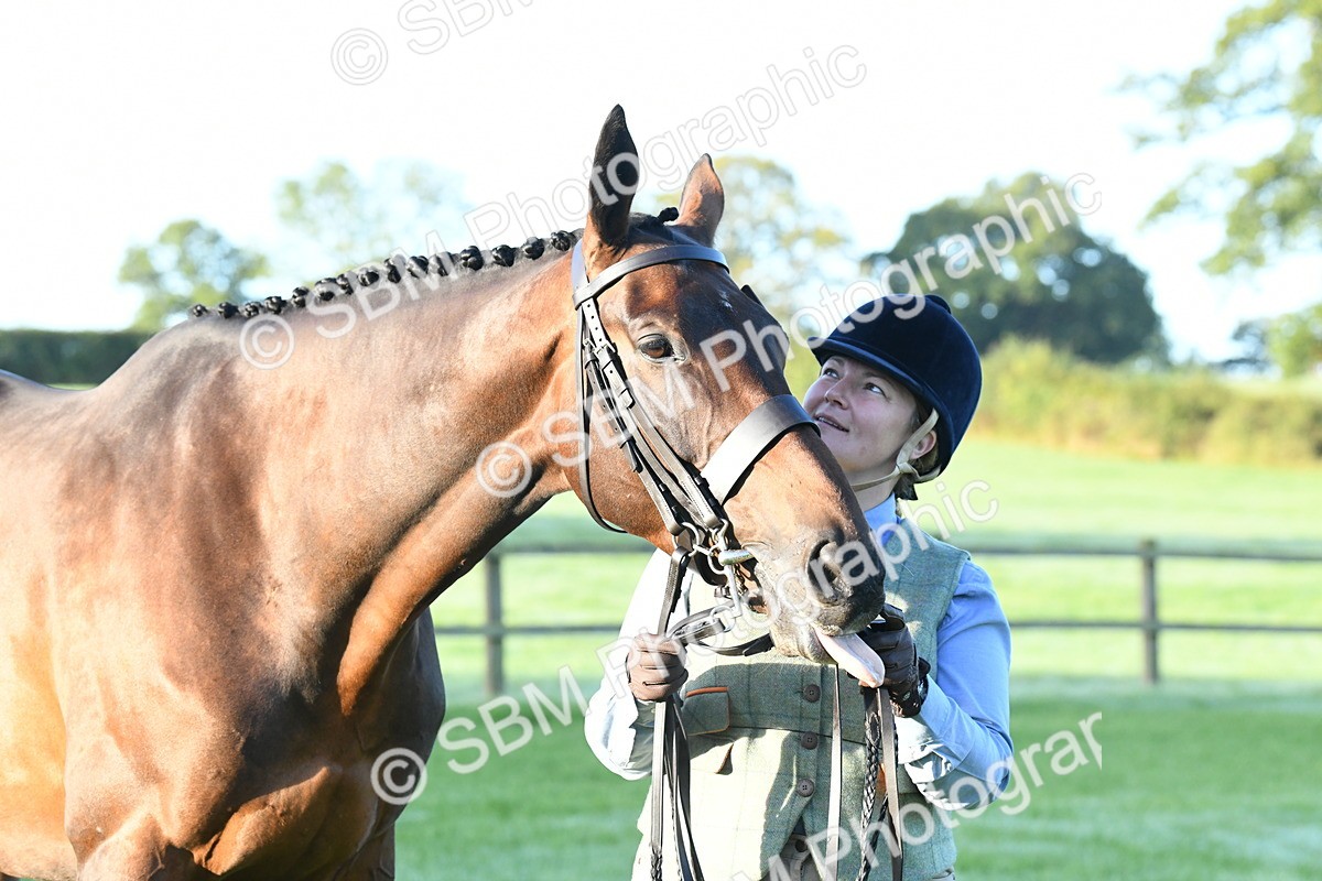 SBM_32643 - S15 - Condition & Turnout In Hand