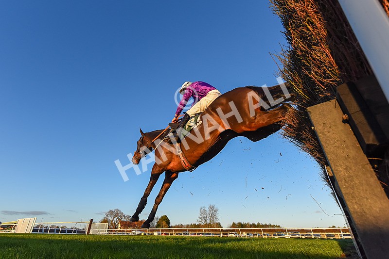 241123-Race 6-Some Scope-4816 - Race 6