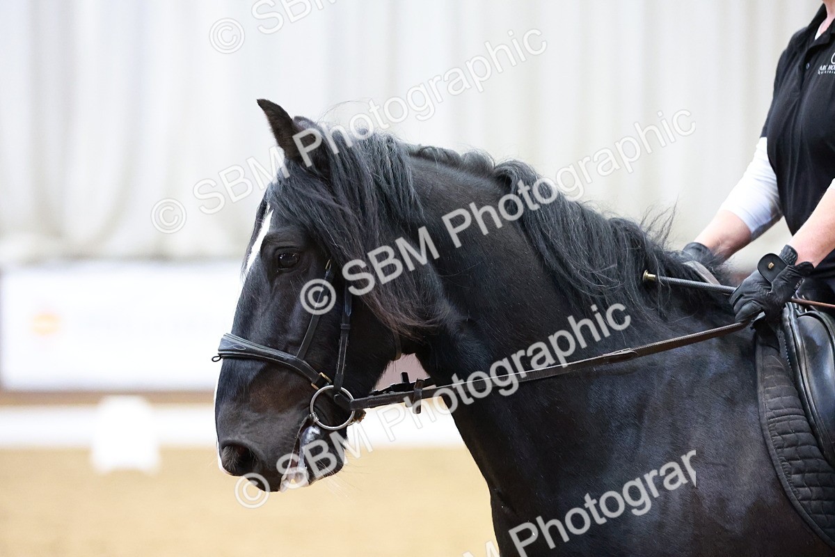1I0A0797 - Class 3-6 - Prelim 1-Novice 2
