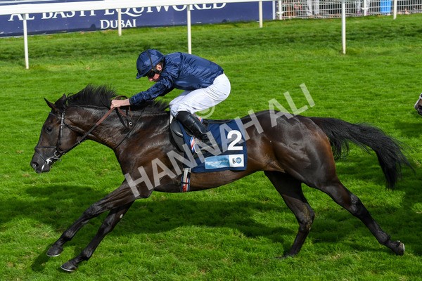 250823-Race 6-Battle Cry-1056 - Race 6 4.45pm British EBF 40th Anniversary Convivial Maiden Stakes