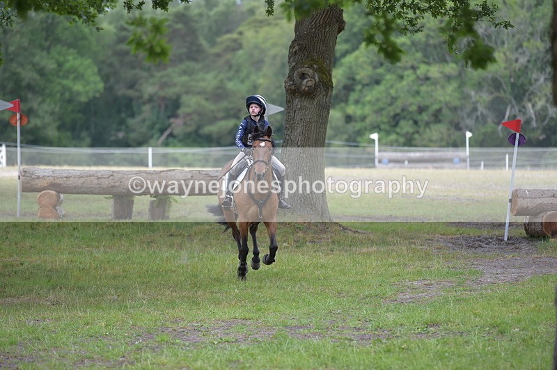 NGP_9166 - Time 12:34 to 12:37