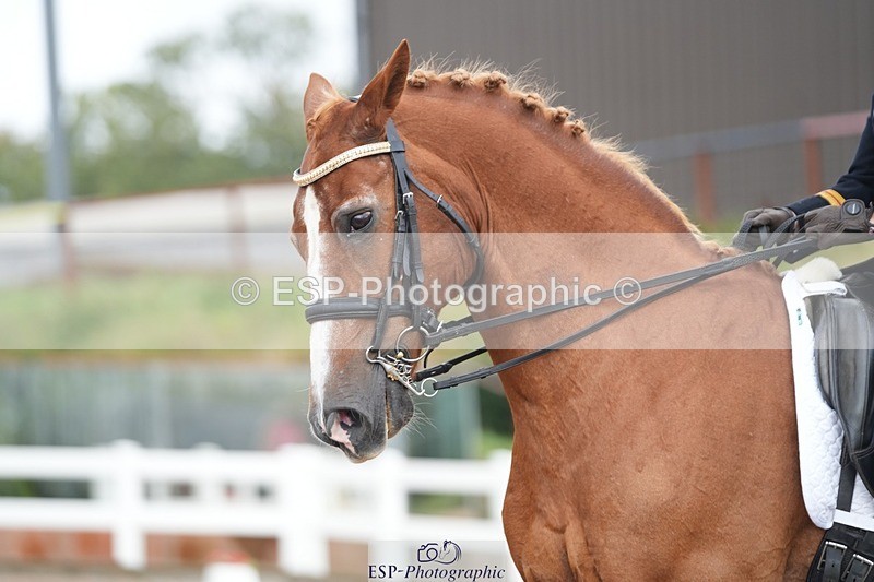 250907-154011-09604 - 122-India.JohnGrayswood.Orlando