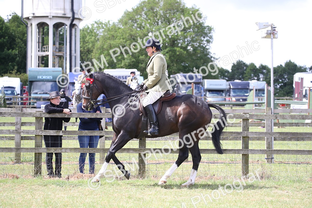 SBM_14199 - Class 113-114 - Retraining of Racehorses Ridden