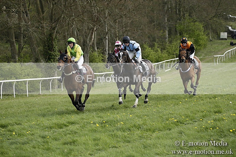 PtP 170417 326 - Old Berks Point-to-Point Lockinge 17/04/17