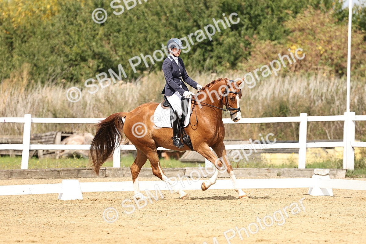 SBM_018326 - Class 16 - Novice 5 - 11.12-12.01