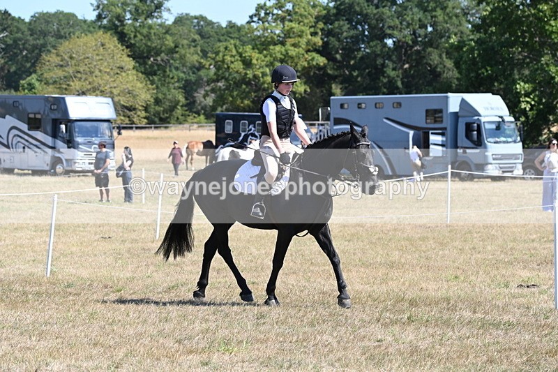 WJ6_8310 - Class 37a Best Loan Pony Ridden