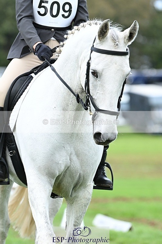 231020-155058-11287 - 509-WOODLANDS.SILVER.CLOUD-Karen.Cowling-DR