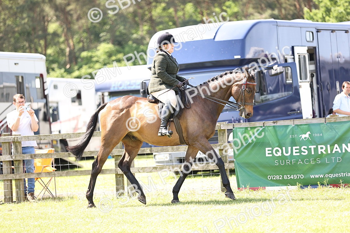 SBM_14816 - Class 78 - LIHS BSHA Open Racehorse & Show Horse