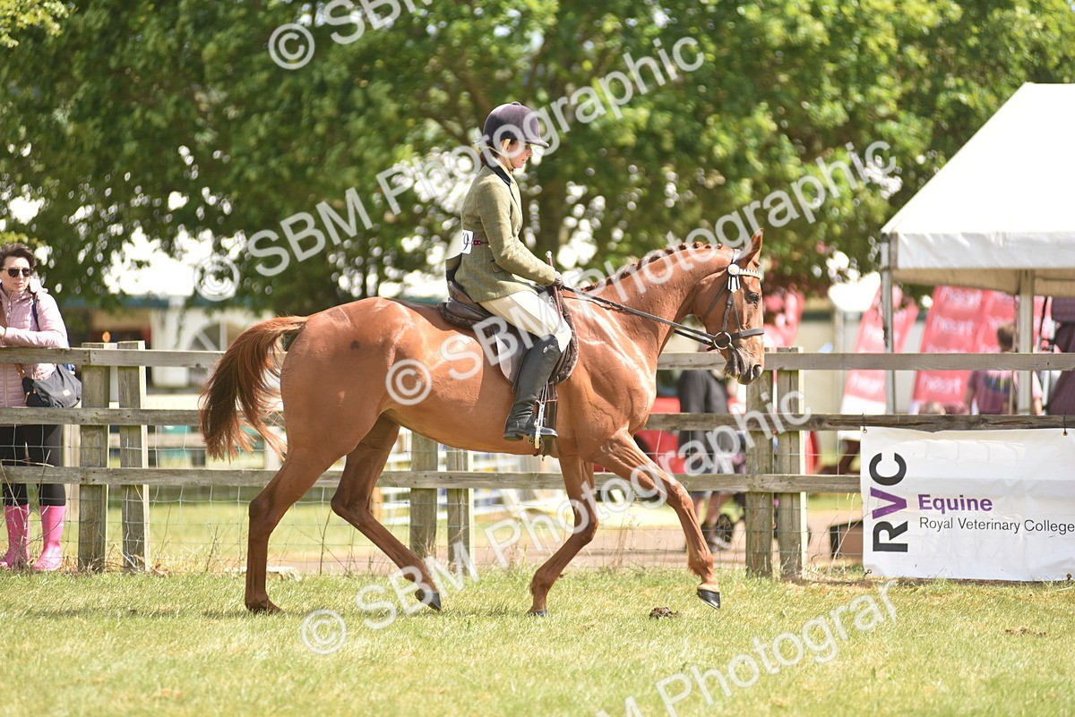 SBM_15068 - Class 113-114 - Retraining of Racehorses Ridden