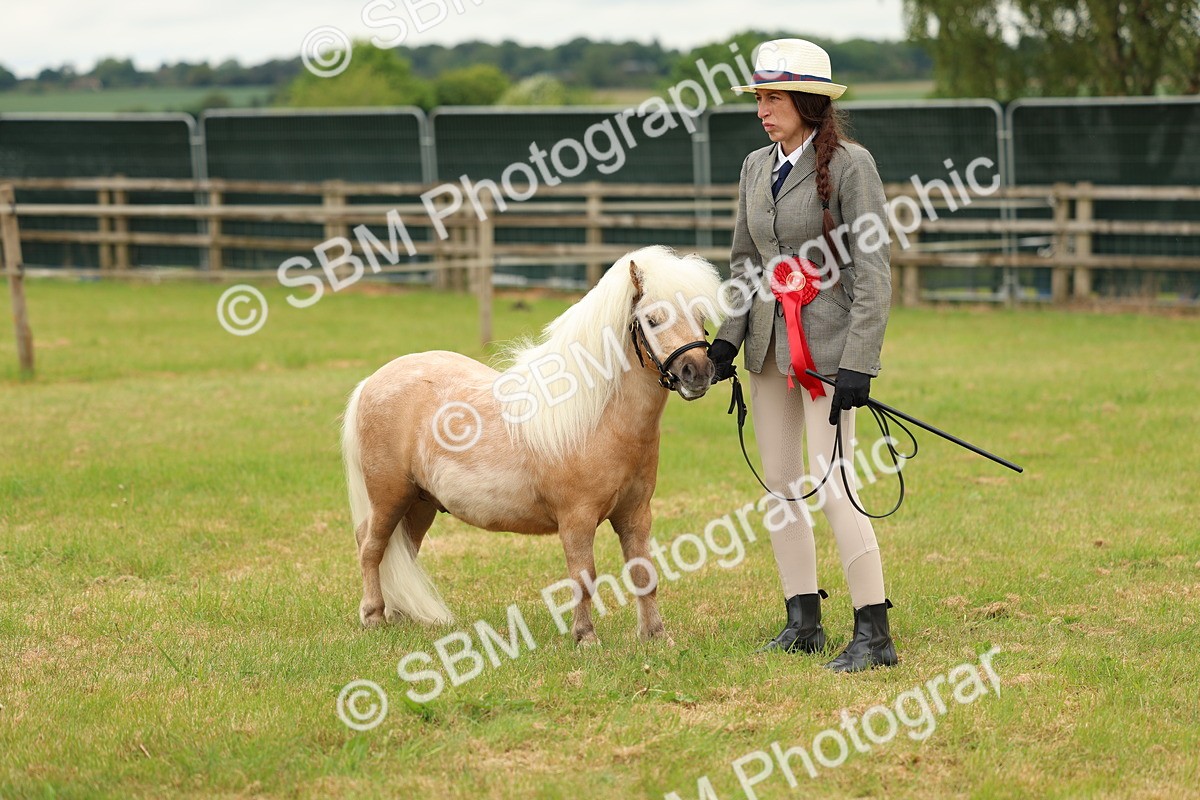 SBM_03520 - Class 58-67 - M&M Non Welsh Pony In hand