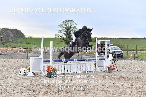 BPP_6203 - CLASS 29 SUN Club/ Unaffiliated 80cms Open