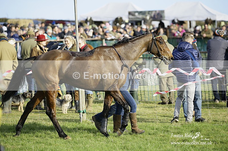 PtP 300122 286 - South Dorset Hunt - Point-to-Point Races 30/01/2022
