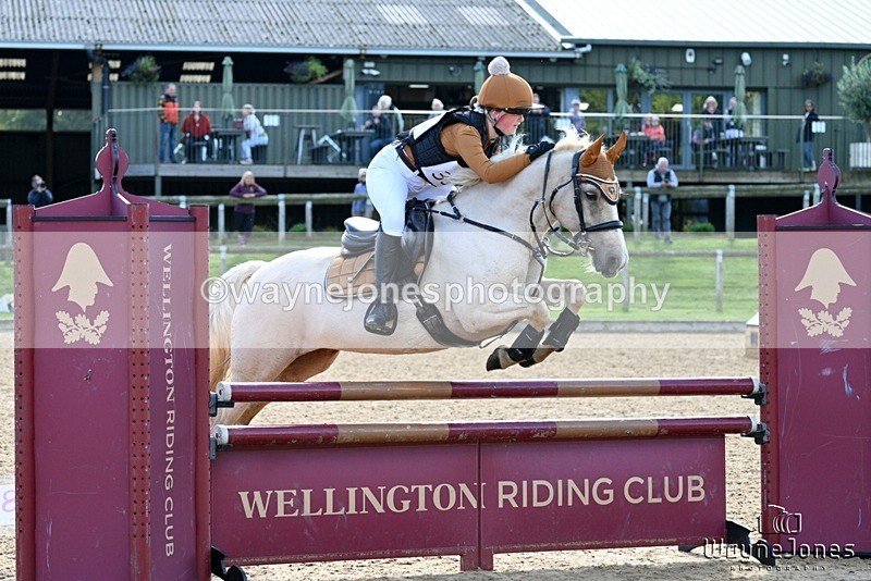 WJ7_2161 - edited examples