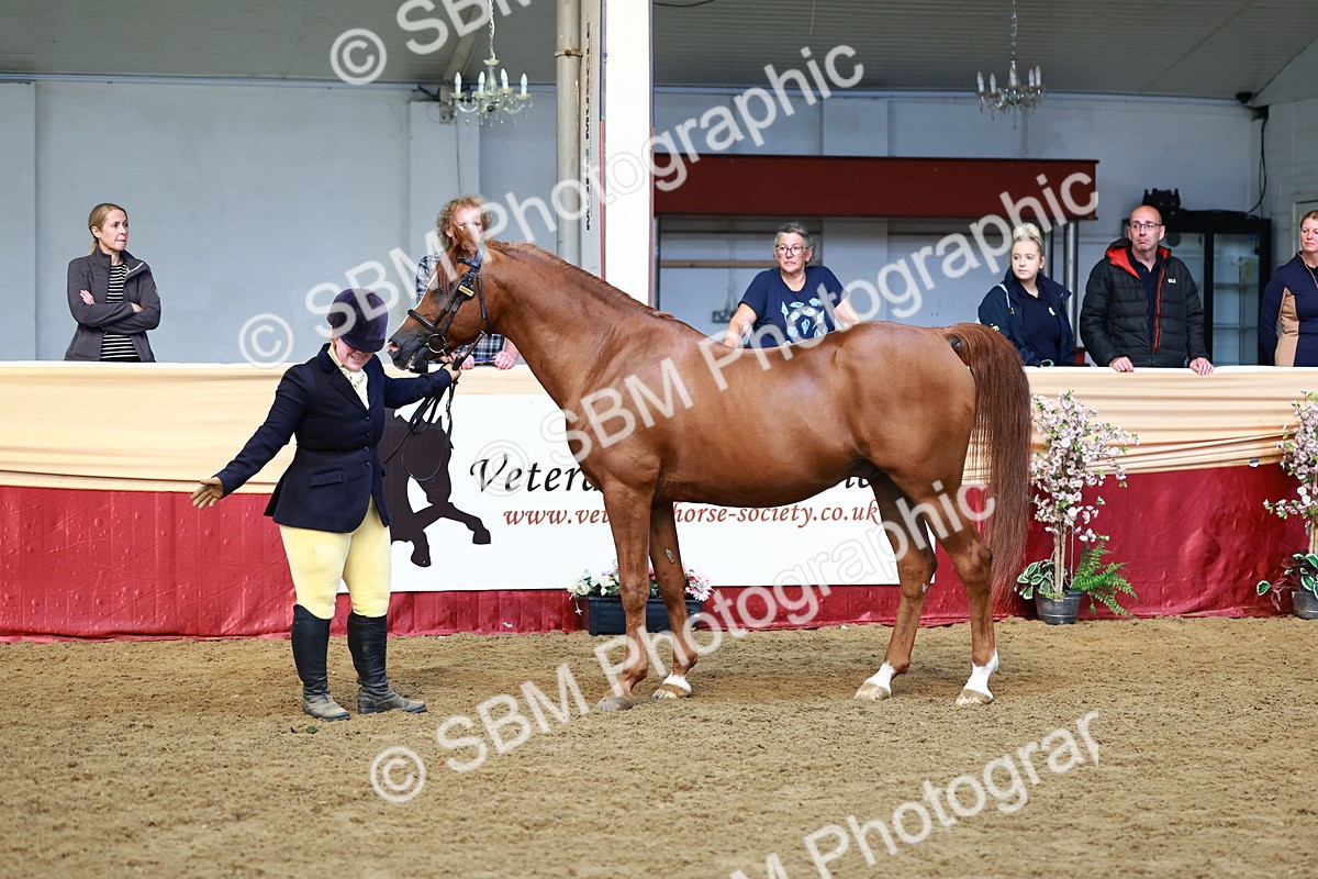 SBM_22374 - Class 902 - Supreme Final - IH Diamond