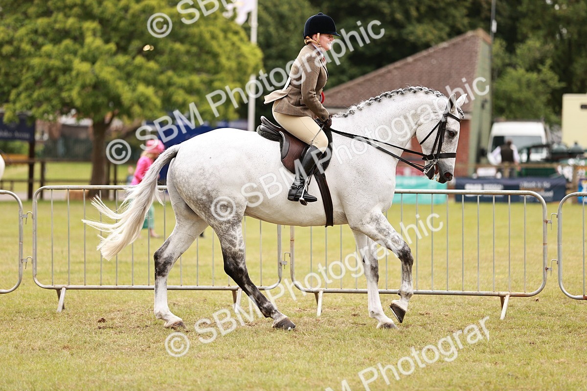 SBM_10897 - Class 81-84 - RIHS Ridden hunters Inc Ladies Hunter