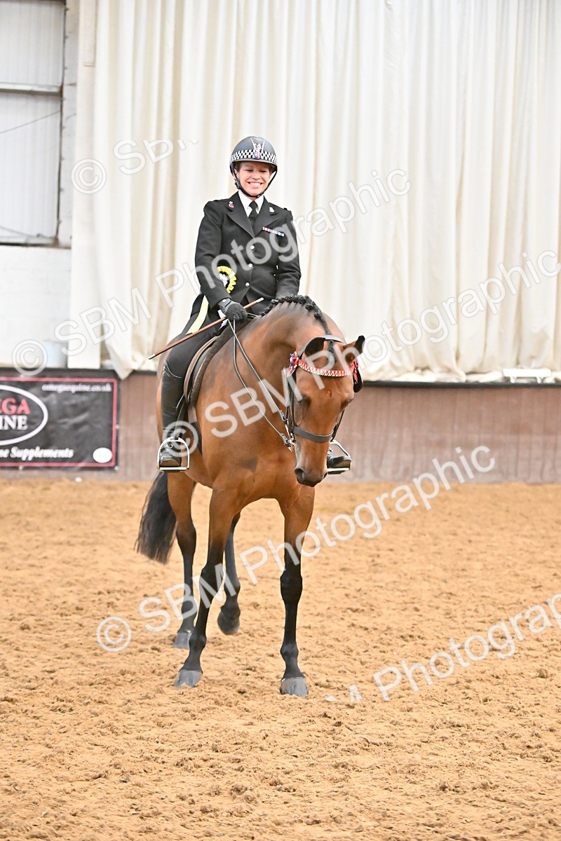 SBM_002407 - Class 22 - BSHA Ridden Hack & Riding Horse