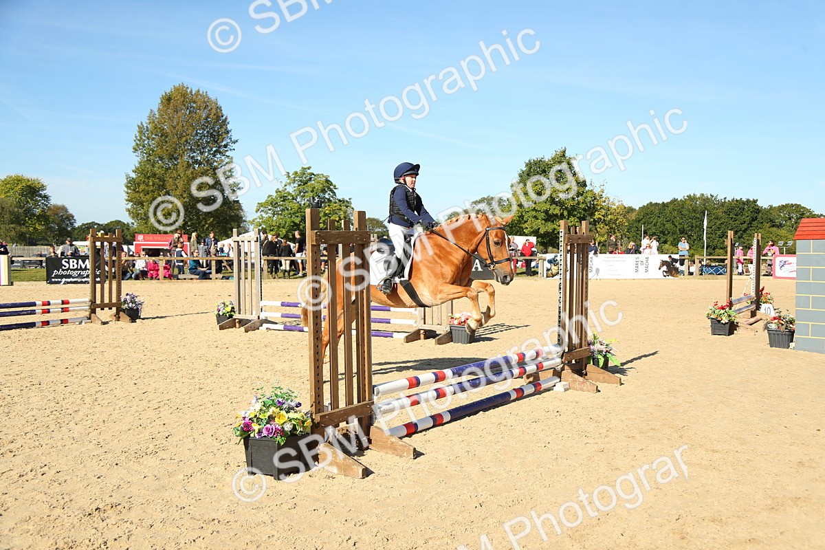 SBM_36005 - J5 - Junior Pony 50cm Championship